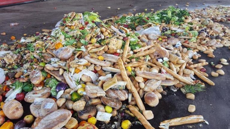 acli spreco alimentare