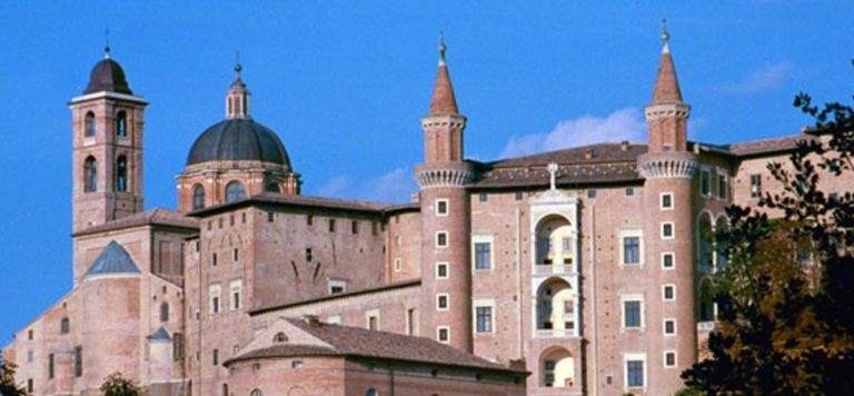 acli urbino