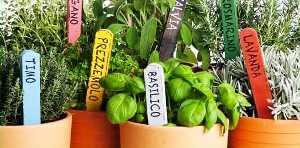 acli giardinaggio