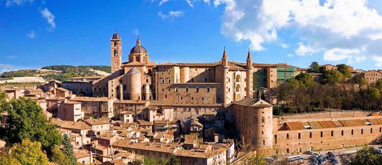 acli urbino