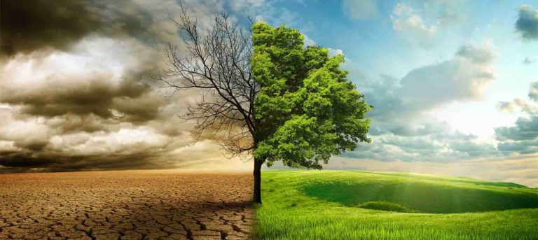 acli clima