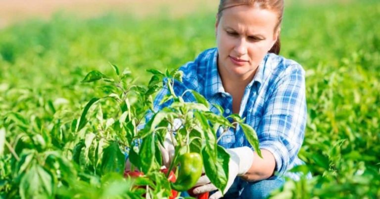 acli donne agricoltura