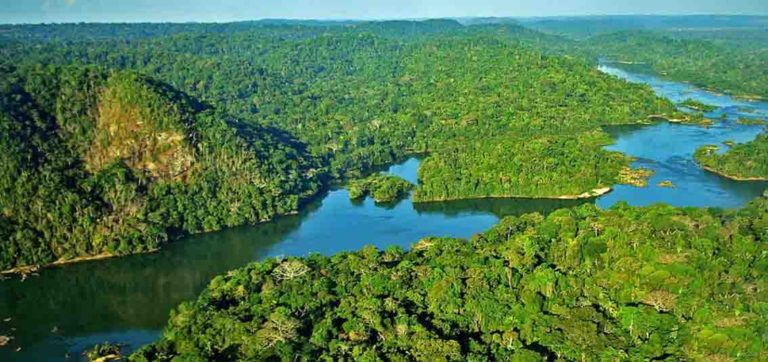 acli amazzonia
