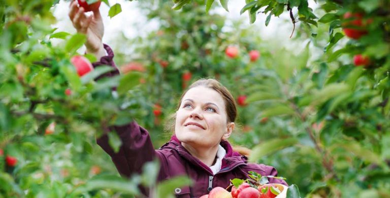 acli donne agricoltura