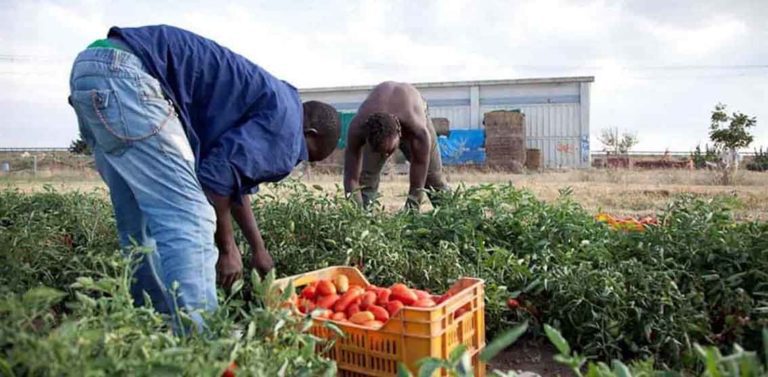 acli immigrazione lavoro