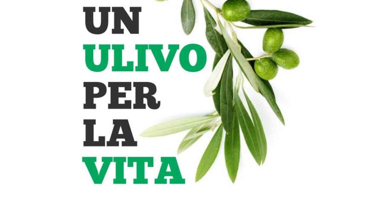 acli terra olio solidale