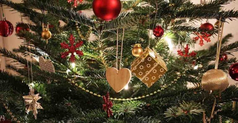 acli natale