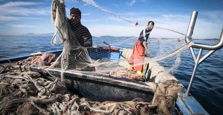acli pesca lavoro