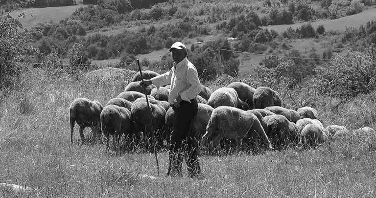 acli pastore agricoltura