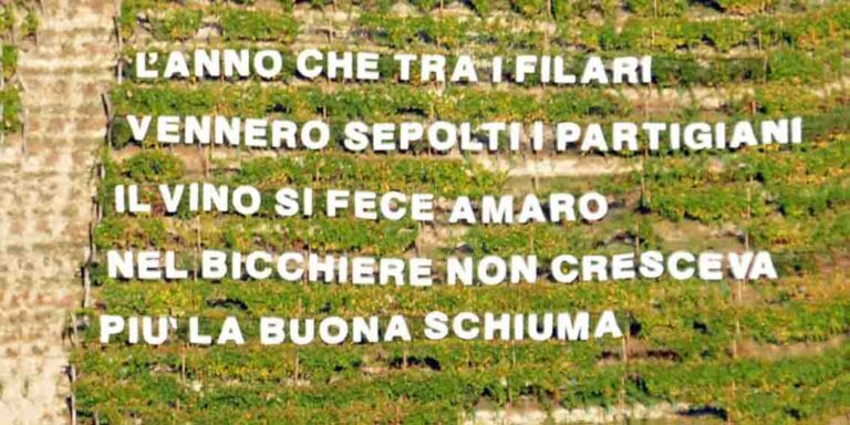 acli versi in vigna castiglione tinella