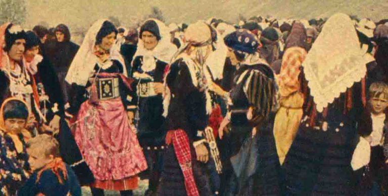 acli albania