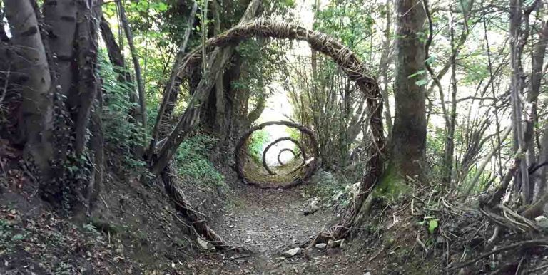 acli land art bosco