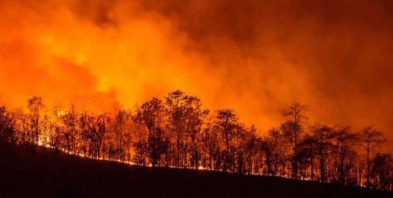 acli oristano incendi fiamme