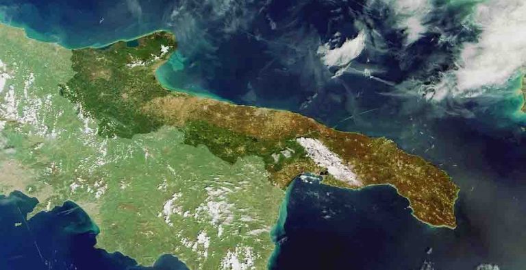 acli puglia