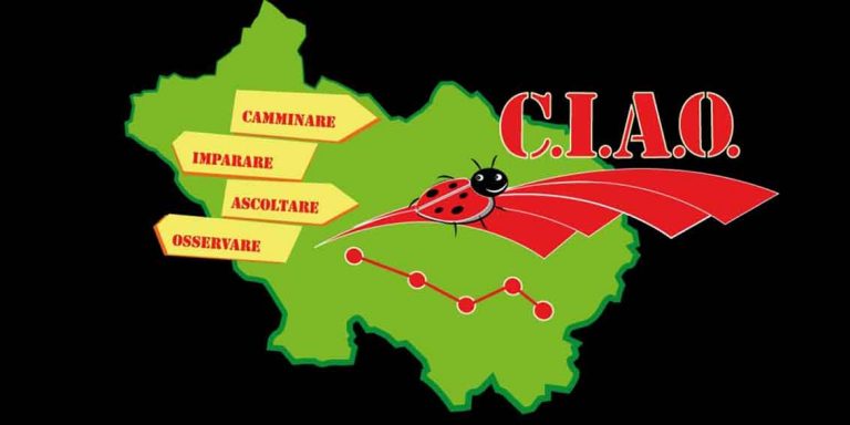 acli frosinone ciao