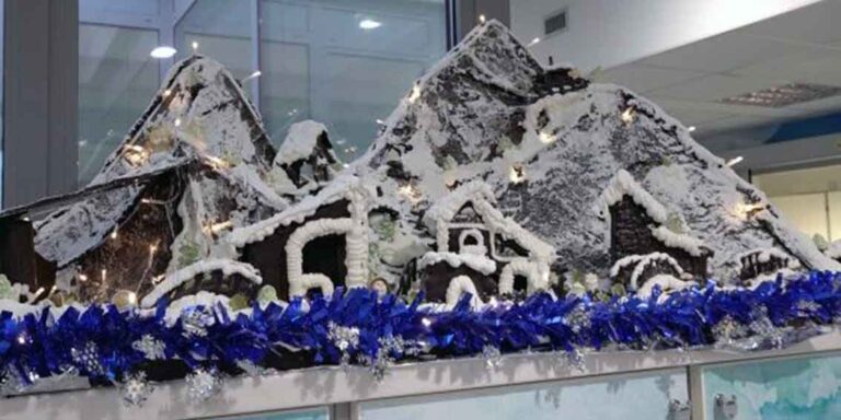 enaip busto ospedale presepe