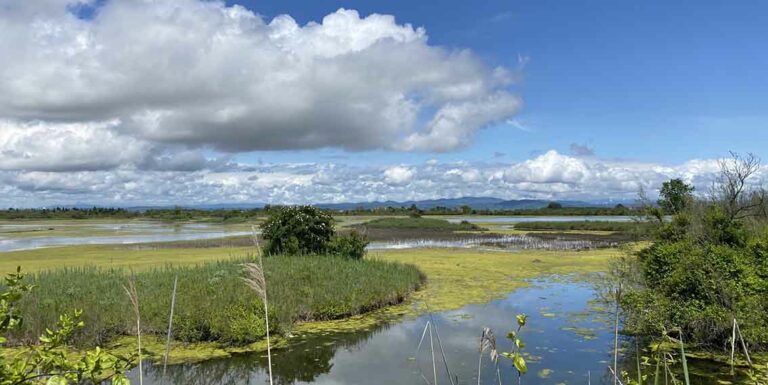 acli cavanata ambiente natura